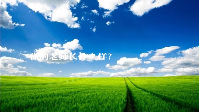 你的老师长什么样？