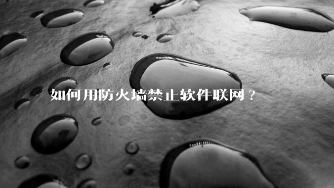 如何用防火墙禁止软件联网?