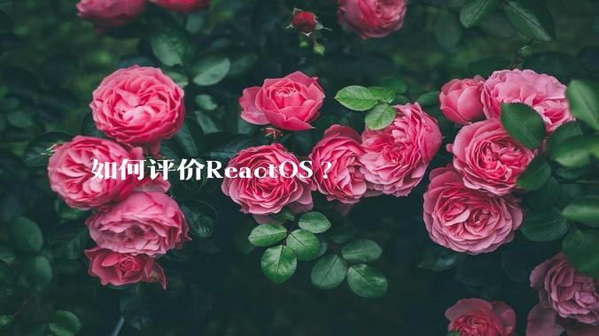 如何评价ReactOS?
