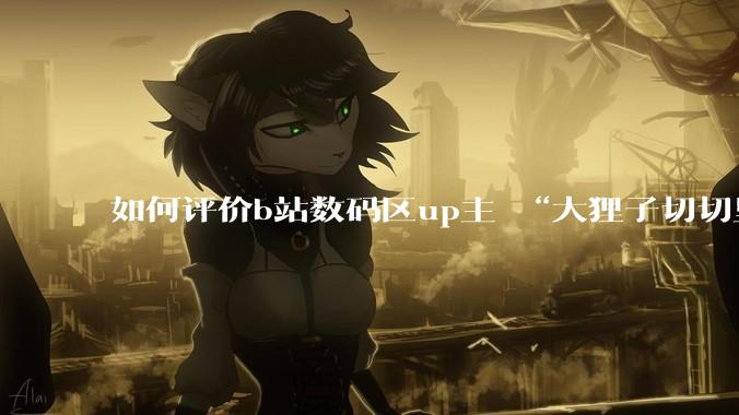 如何评价b站数码区up主 “大狸子切切里”?