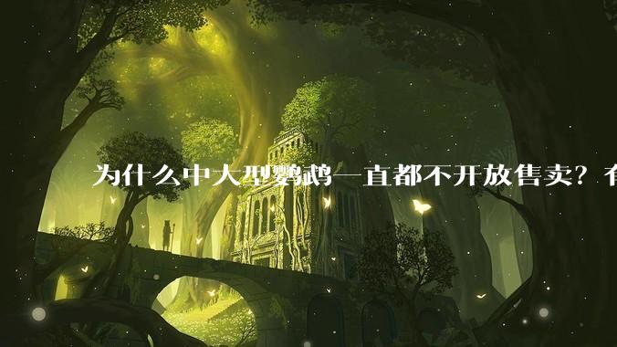 为什么中大型鹦鹉一直都不开放售卖？有哪些原因呢?