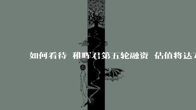 如何看待 稚晖君第五轮融资 估值将达70亿？