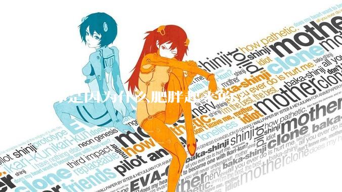 你是因为什么肥胖起来的?