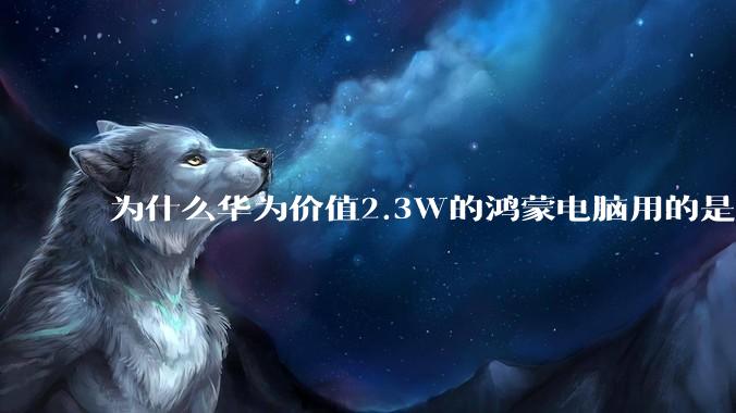 为什么华为价值2.3W的鸿蒙电脑用的是美国西数的SN740固态硬盘？