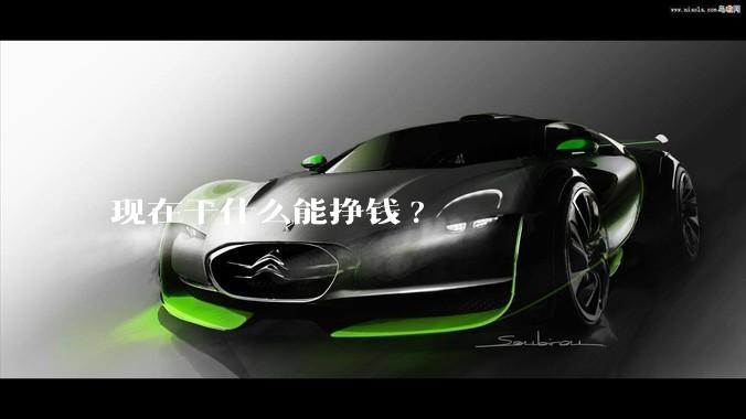 现在干什么能挣钱?