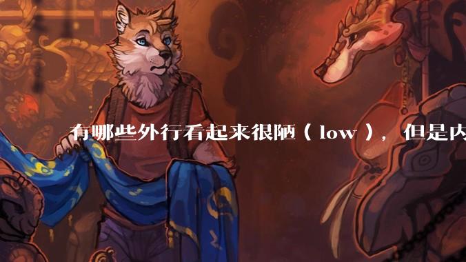 有哪些外行看起来很陋（low），但是内行人却觉得很高大上的东西？