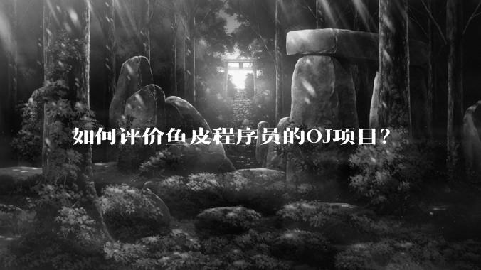 如何评价鱼皮程序员的OJ项目？