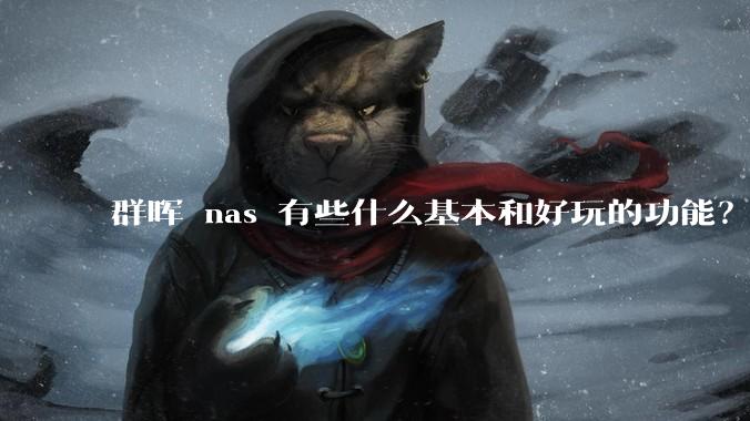 群晖 nas 有些什么基本和好玩的功能？