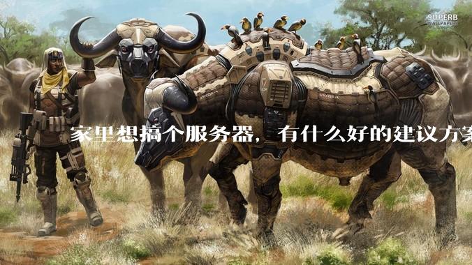 家里想搞个服务器，有什么好的建议方案吗？