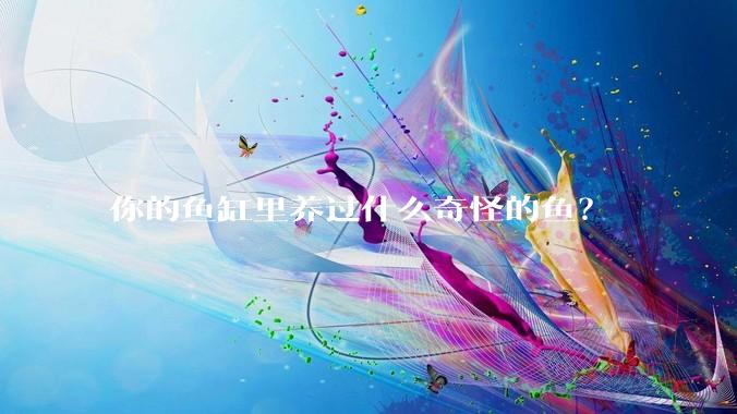 你的鱼缸里养过什么奇怪的鱼？