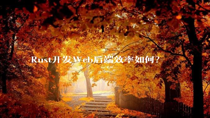 Rust开发Web后端效率如何？
