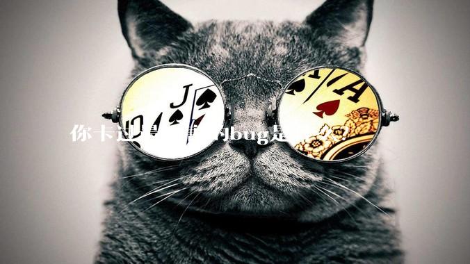 你卡过最厉害的bug是什么？