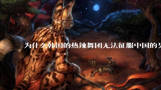 为什么韩国的热辣舞团无法征服中国的男性市场？？