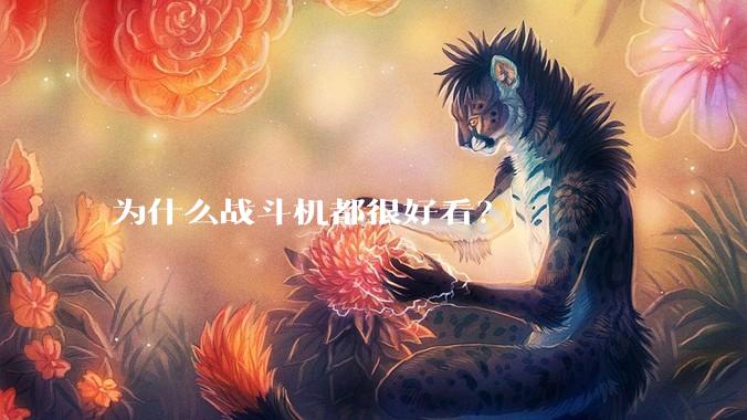 为什么战斗机都很好看？