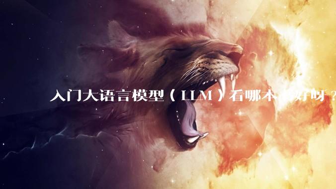 入门大语言模型（LLM）看哪本书好呀?