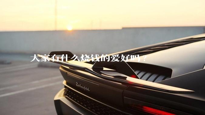 大家有什么烧钱的爱好吗?