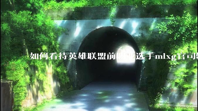 如何看待英雄联盟前职业选手mlxg官司输了，被强制执行2500w？