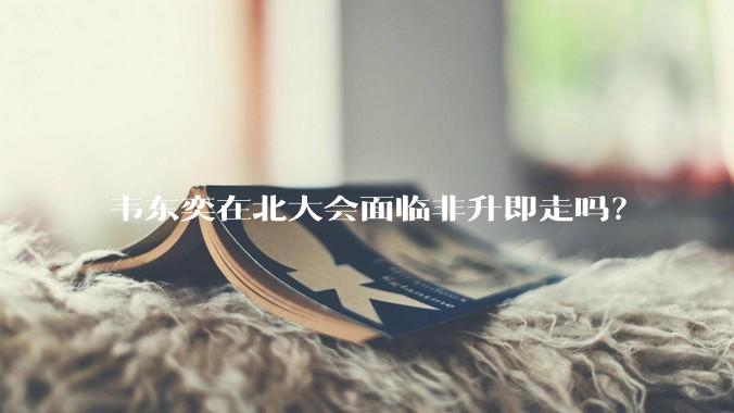 韦东奕在北大会面临非升即走吗？