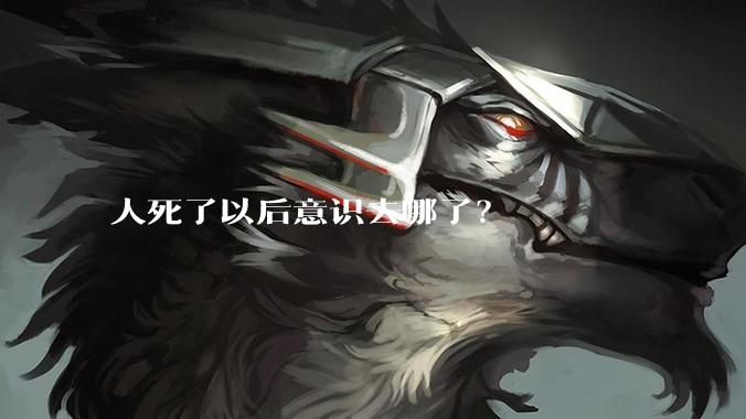 人死了以后意识去哪了？