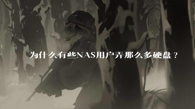为什么有些NAS用户弄那么多硬盘?