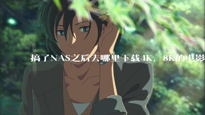 搞了NAS之后去哪里下载4K，8K的电影？