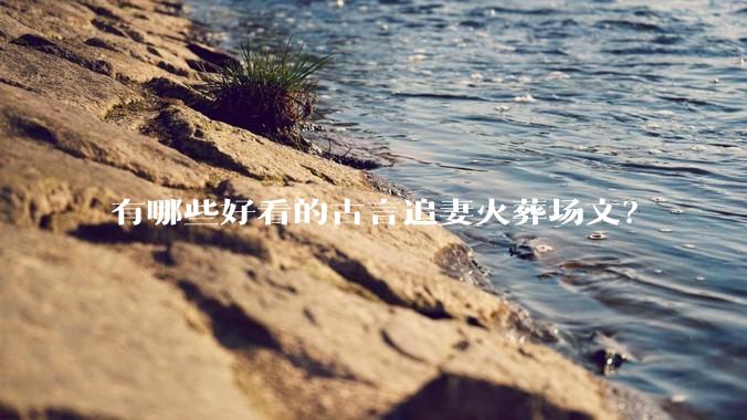 有哪些好看的古言追妻火葬场文？